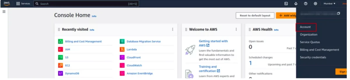 IAM Users Billing Access