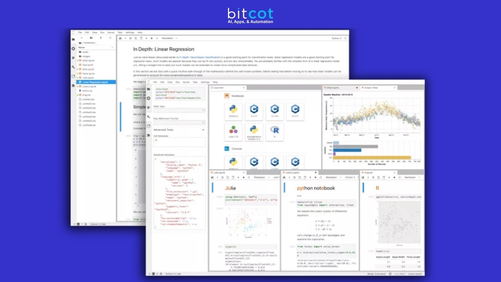 Jupyter Notebooks