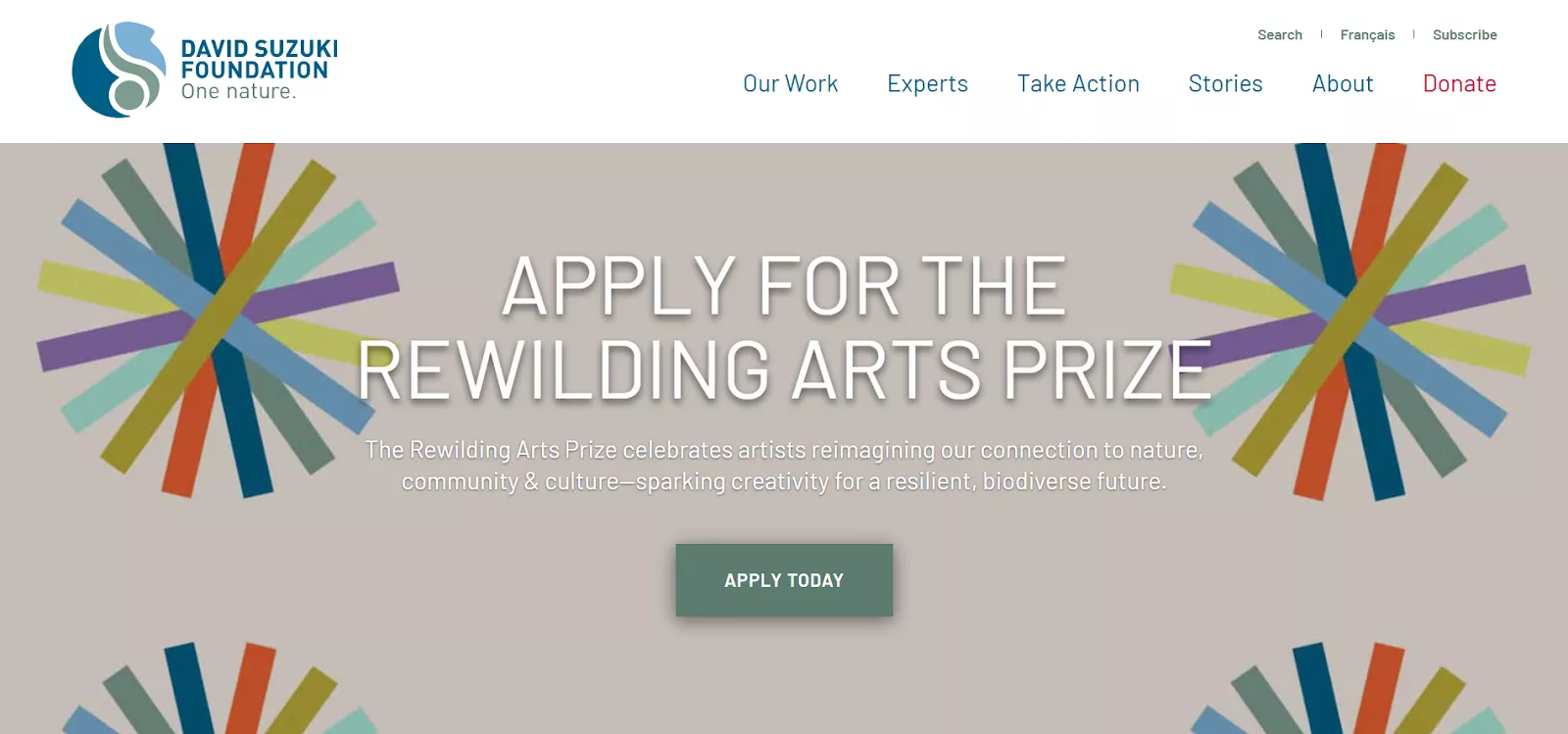 David Suzuki Foundation