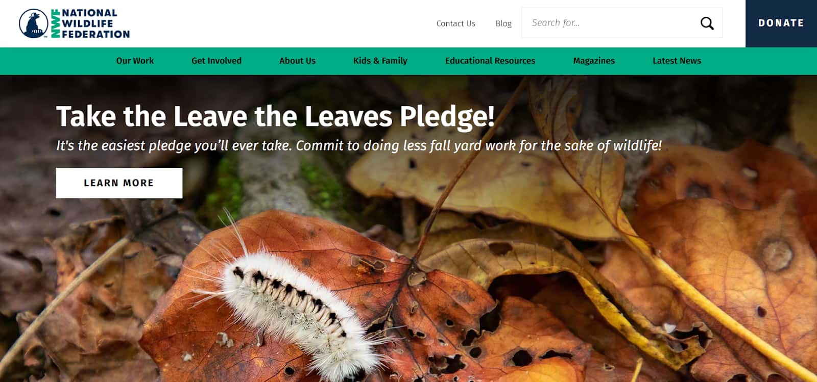 National Wildlife Federation