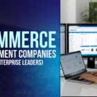 Top eCommerce Development Companies in Alaska