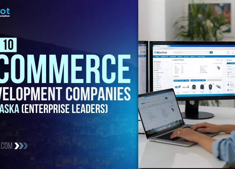 Top eCommerce Development Companies in Alaska